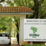 Caixa Tem vai depositar R$ 600 para lista de CPFs em setembro